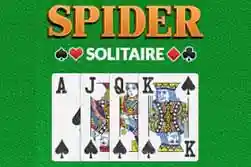 Spider Solitaire Big